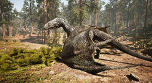 A screenshot of Day of Dragons server hosting