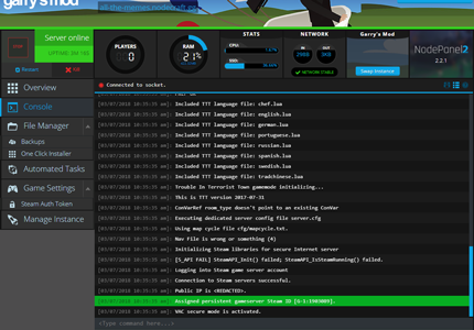 A screenshot of the output and server logs generated for a server