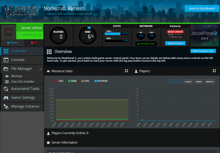 A screenshot showing game server stats and overview page in NodePanel